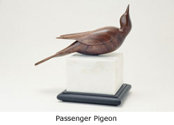 interpretive - passenger pigeon