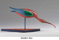 golden ibis